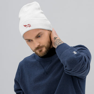 Light Color Embroidered Percy Beanie