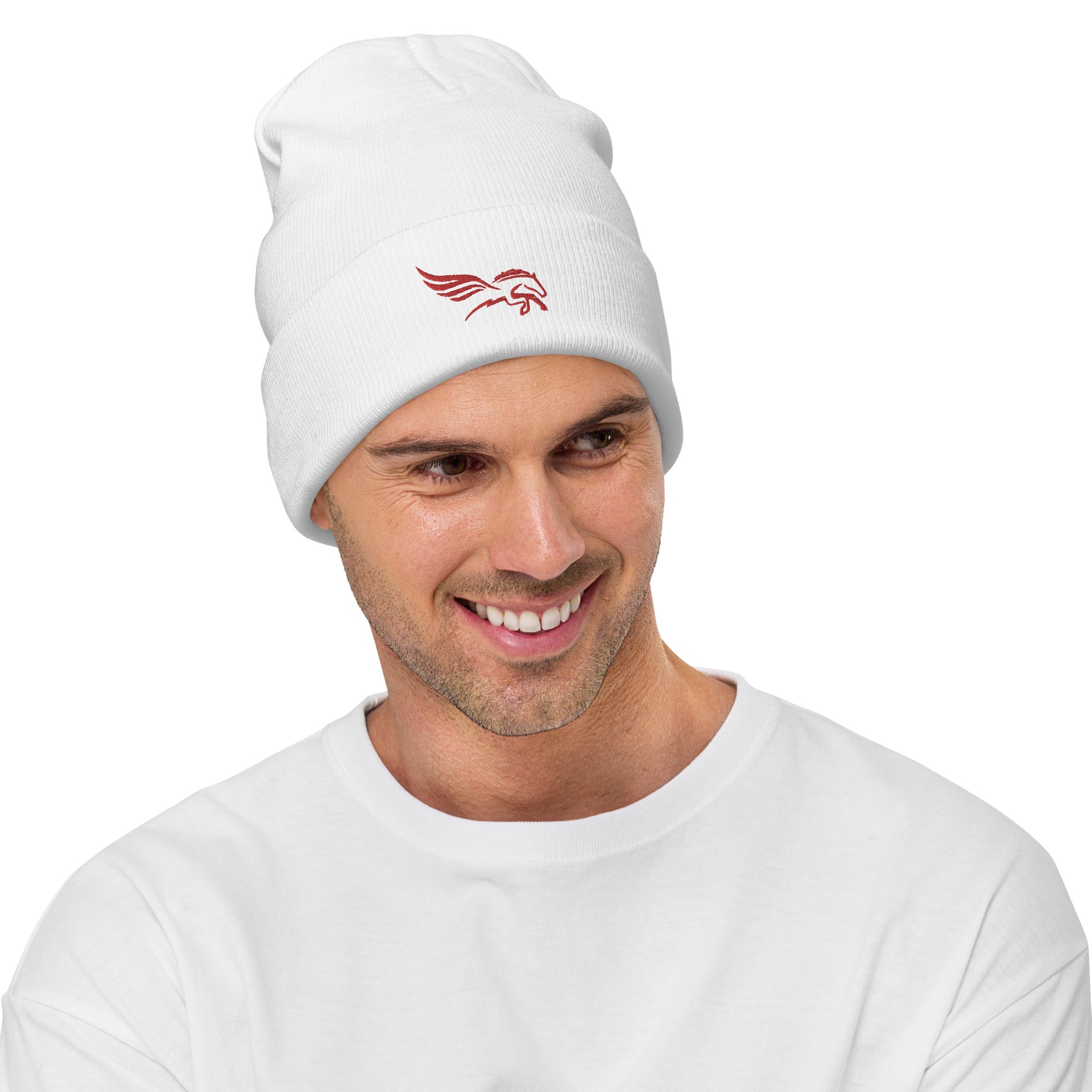 Light Color Embroidered Percy Beanie